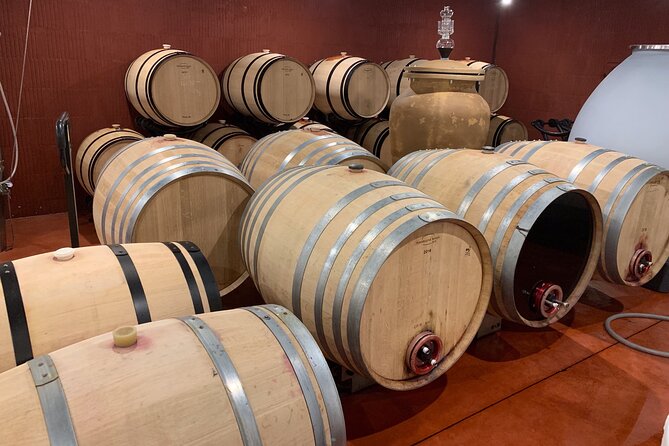 A Day in Saint-Emilion in a Small Group (Electric Luxury Van) - Meeting Details