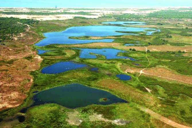A Day Through the Doñana National Park and the Village of Rocio - Wildlife Viewing Opportunities