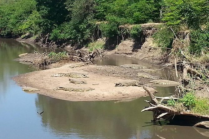 A Day Trip to Saadani National Park From Dar Es Salaam / Zanzibar - Health and Accessibility Considerations