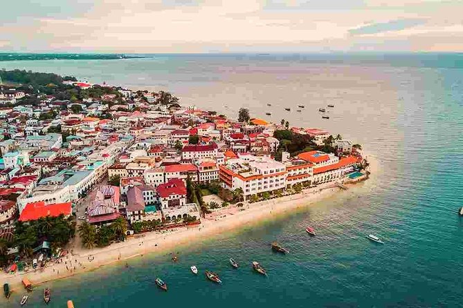 A Half Day Private Stone Town Tour - Accessibility Features