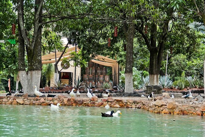 A Unique Tour! Visiting Hacienda Casa Herradura From Guadalajara - Guest Experiences and Reviews