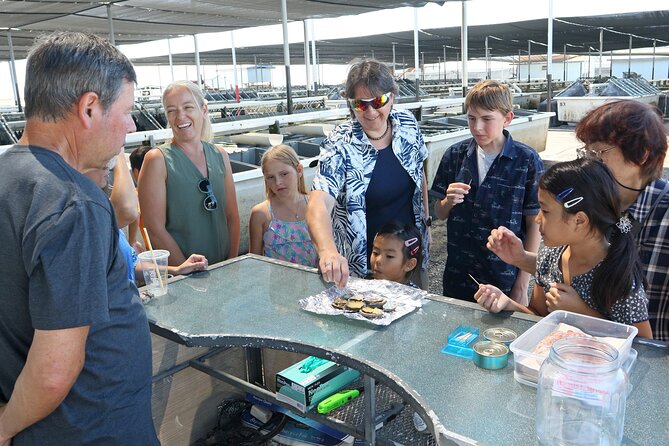 Abalone Farm Tour - Lifecycle of the Abalone