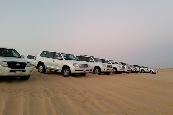 Abu Dhabi Morning Desert Safari - Safety Considerations