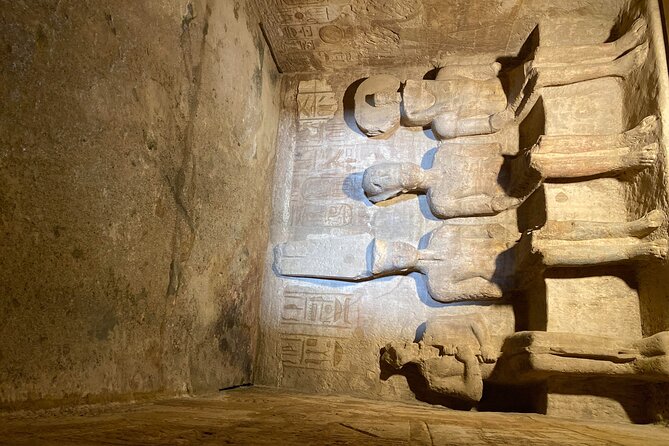 Abu Simbel Private Tour From Aswan - Inclusions and Amenities