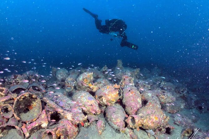 Aci Castello: Diving Underwater Scooter Tours - Viator Help Centre Support