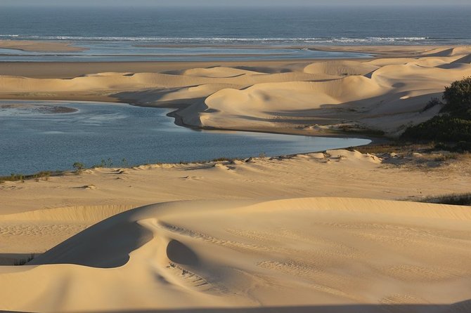 Addo Elephant National Park and Sunset River Cruise - FD04 - Itinerary Highlights