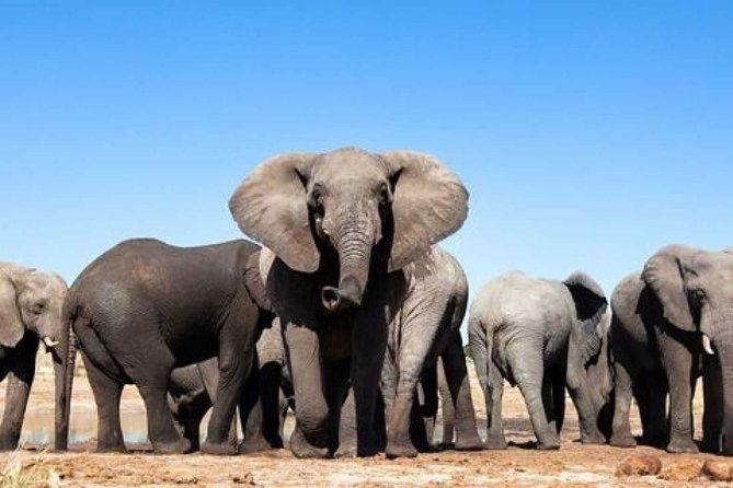 ADDO to CAPE TOWN: Addo - Garden Route - Route 62 - Winelands (6 Days) - Taking in the Winelands Experience