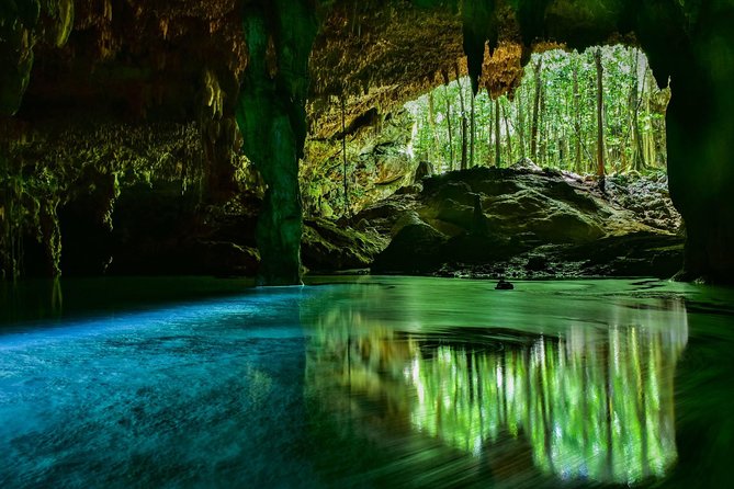 Admission Rio Secreto Wild Tour With Lunch - Customer Reviews and Experiences