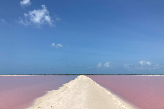 Admission Ticket to Safari in the Pink Lagoons of Las Coloradas - Accessibility and Participation
