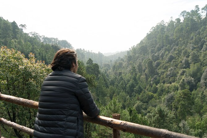 Admission to the Alpinia Nature and Adventure Park - Accessibility and Participation