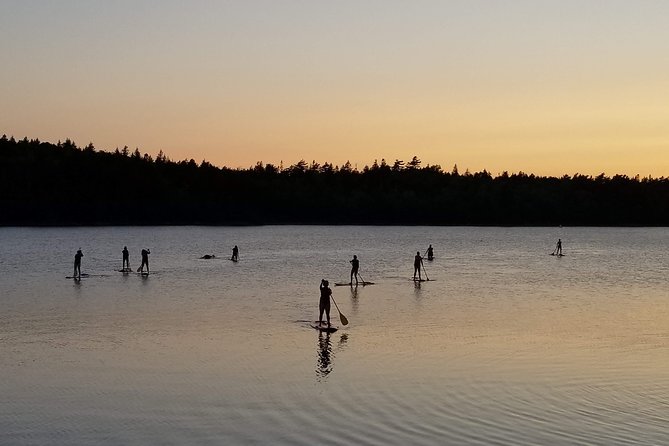 Adult Stand-Up Paddle Board Rental - Duration and Inclusions