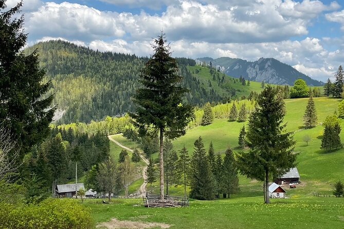 Adventure Day Trip From Iasi | Hiking in the Carpathian Mountains - Guided Tour by Mountain Expert