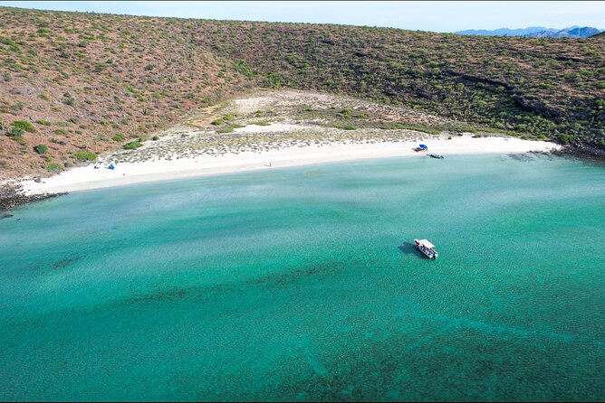 Adventure to Espiritu Santo Island: Snorkel With Sea Lions and Beach - Sightings of Marine Life