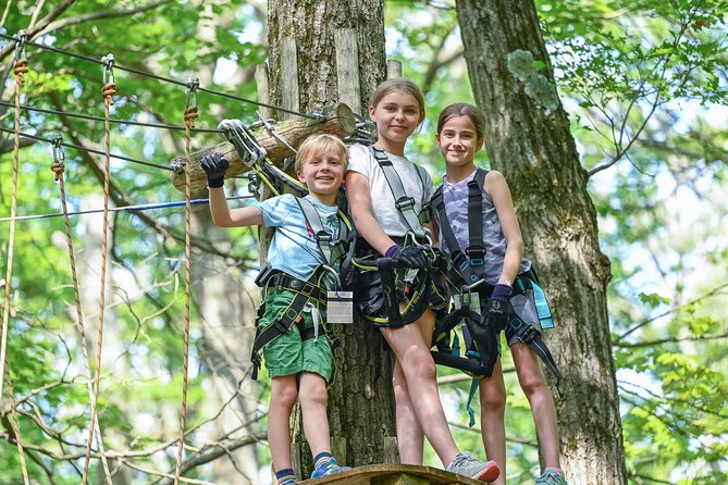 Aerial Adventure Park Admission - Admission Pricing and Booking