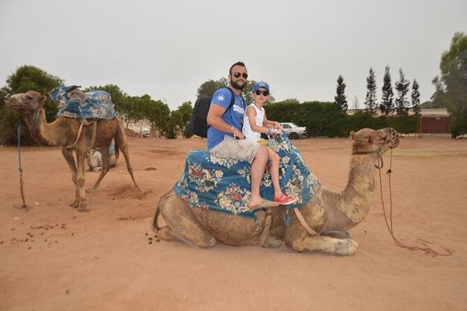 Agadir Camel Ride Experience - Health and Safety Guidelines
