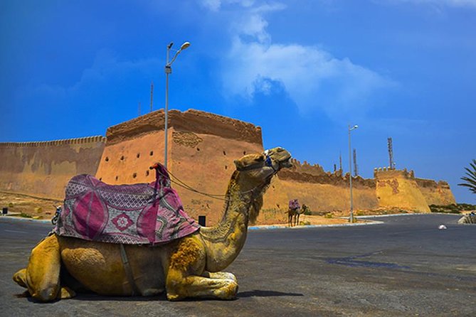 Agadir City Tour - Meeting and Pickup Details