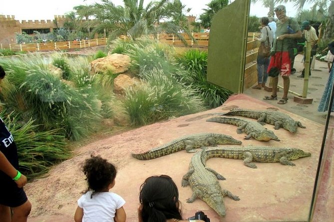 Agadir Crocoparc With Transfer & Admission Ticket - Inclusive Admission and Amenities