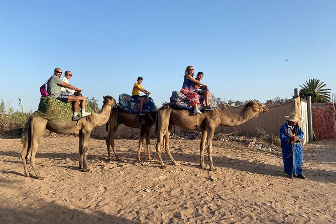 Agadir Sunset Camel Ride With Moroccan Barbecue & Hotel Transfers - Positive Guest Reviews and Feedback