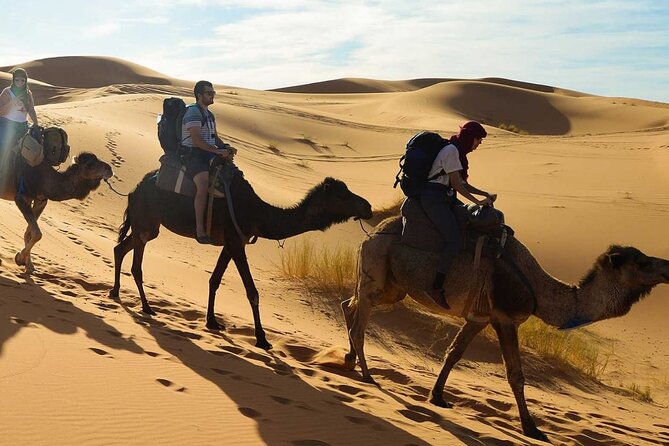 Agadir Sunset on Camel Ride With Barbecue - Pickup and Meeting Points