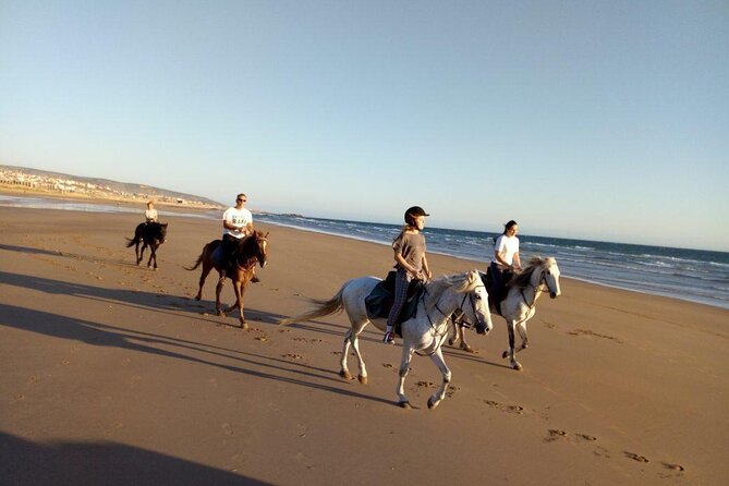 Agadir/Taghazout Horse Ride on the Beach - Horse Condition and Care