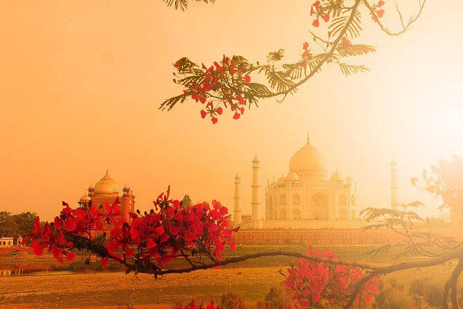 Agra: Skip the Line Ticket to Taj Mahal With Guided Tour - Location and Meeting Point
