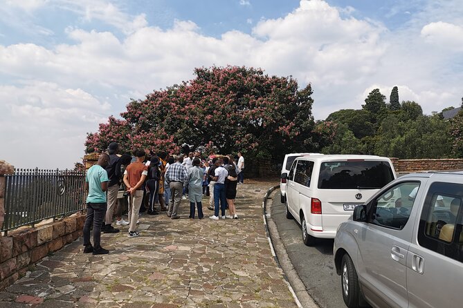 Airport Shuttle and Private Transfers - Customer Testimonials