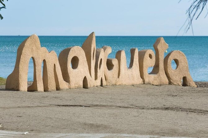 Airport Transfer: Malaga Airport AGP to Malaga by Luxury Van - Accessibility and Suitability