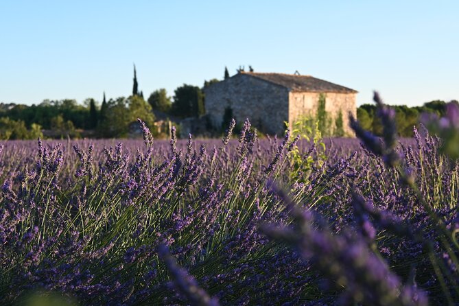 Aix-En-Provence Living Market Tour With a Local - Meeting and End Points