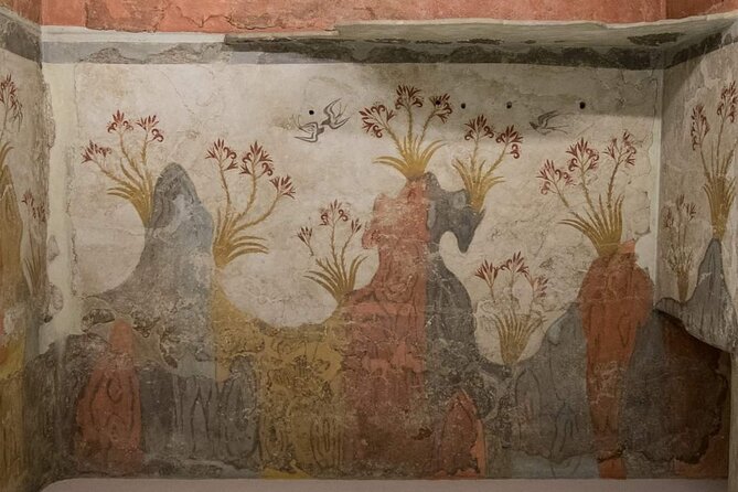 Akrotiri Excavations Guided Tour - Experienced Guides