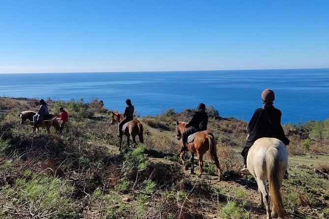 Alanya Horseback Riding in the Taurus Mountains With Transfer - Pickup Information
