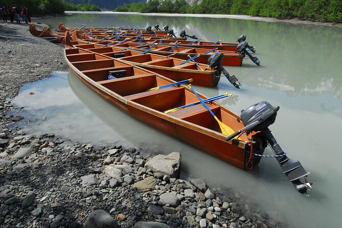 Alaska Wildlife Voyageur Canoe Safari From Haines - Health and Safety Requirements