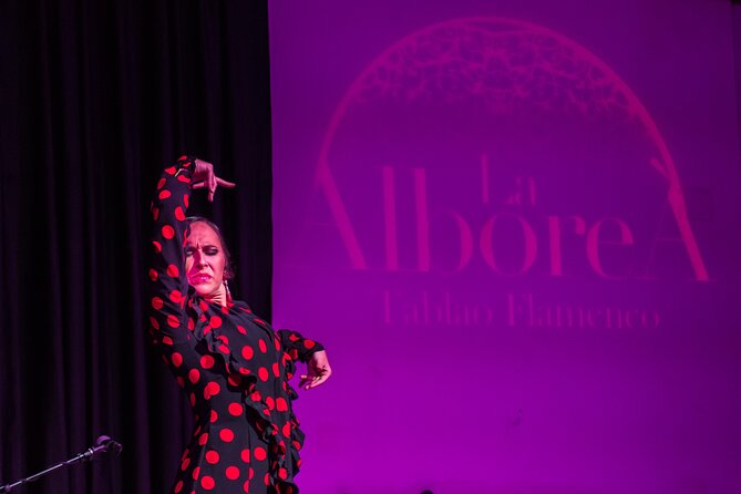 Albaicín and Sacromonte Walking Tour and Flamenco Show - Accessibility Options
