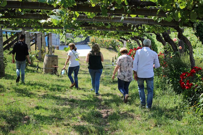 Albariño Wine Tasting With Winery Tour - Meeting Point and Pickup