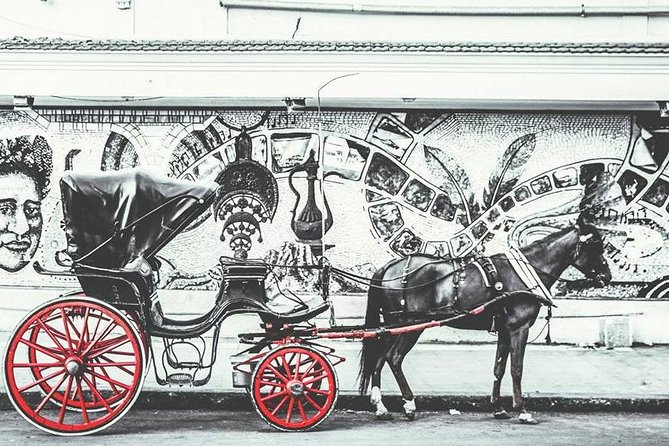 Alexandria Horse Carriage Tour - Inclusions of the Experience
