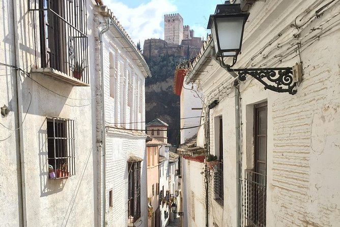 Alhambra and Albaycin Private Tour - Meeting and End Points