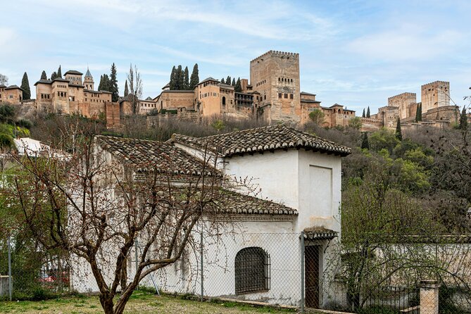 Alhambra in Granada Private Tour - Tour Reviews and Ratings