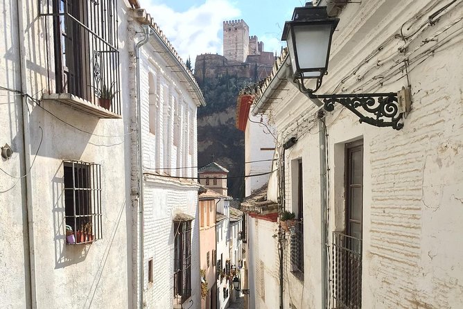 Alhambra Tickets and Albaicin Private Tour - Accessibility Details