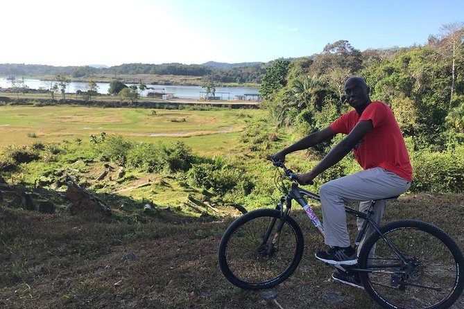 All Day 15 $ Bike - Customer Reviews Summary