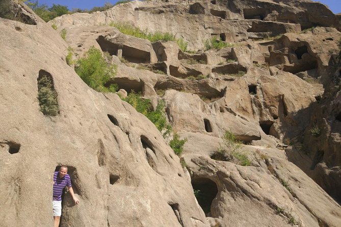 All-inclusive Day Tour to Ming Emperors Tomb Sacred Path and Guyaju Dwelling - Customer Reviews
