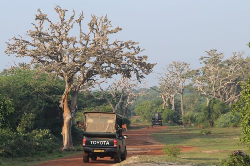 All-Inclusive Morning Game Drive at Bundala National Park - Inclusions
