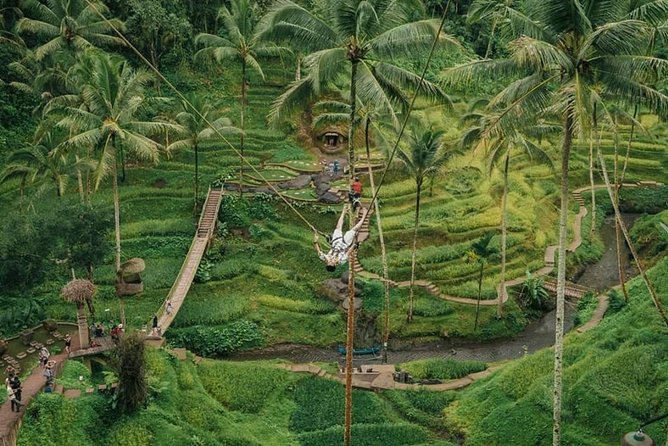 All Inclusive Private 3-Day Tour Packages-Best of Bali - Pickup Locations and Logistics