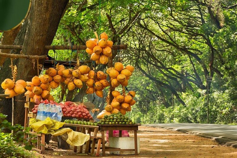 All Inclusive Sigiriya and Dambulla Day Tour From Colombo - Itinerary Highlights