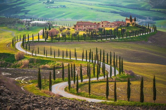 All Tuscany Private Siena San Gimignano & Chianti Livorno Shore Excursion - Pricing Information Breakdown