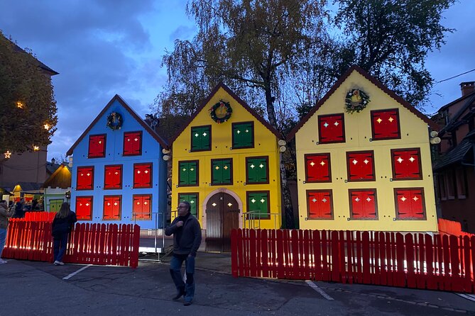 Alsace Christmas Markets & Fairy Tale Villages Private Tour From Strasbourg - Inclusions