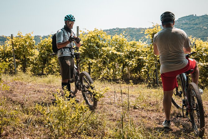 Alta Tuscia Ebike Tour With Visit to Antica Cantina Leonardi - Visit Antica Cantina Leonardi