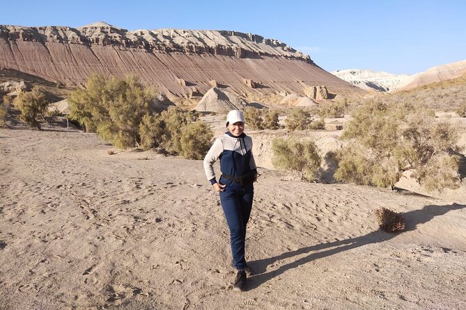 Altyn Emel 2 Days Tour. (Singing Dune, Aktau, Kattytau) - Inclusions of the Tour Package