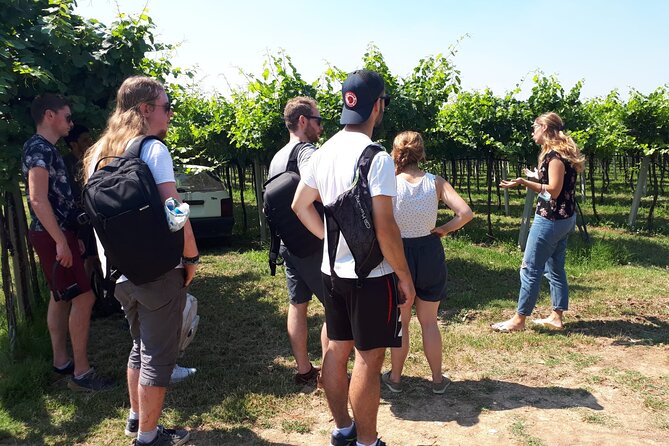 Amarone Wine Tour - Winery and Tasting Experience