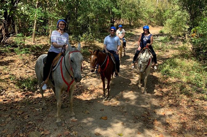 Amazing Horseback Riding in the Tropical Forest - Pickup and Accessibility