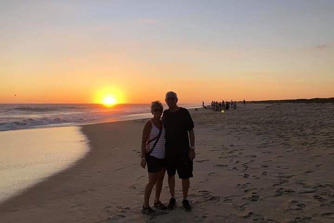 Amazing Turtle Release Tour - Traveler Experiences