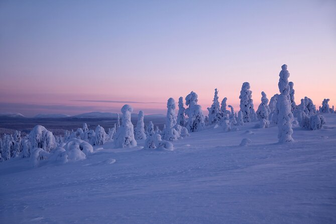 Amethyst Mine at Pyhä-Luosto National Park in Lapland - What to Expect on the Tour